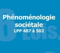 Phénoménologie sociétale - Bookiner.com