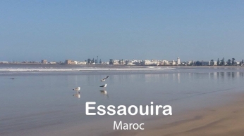 Essaouira 1 - Bookiner